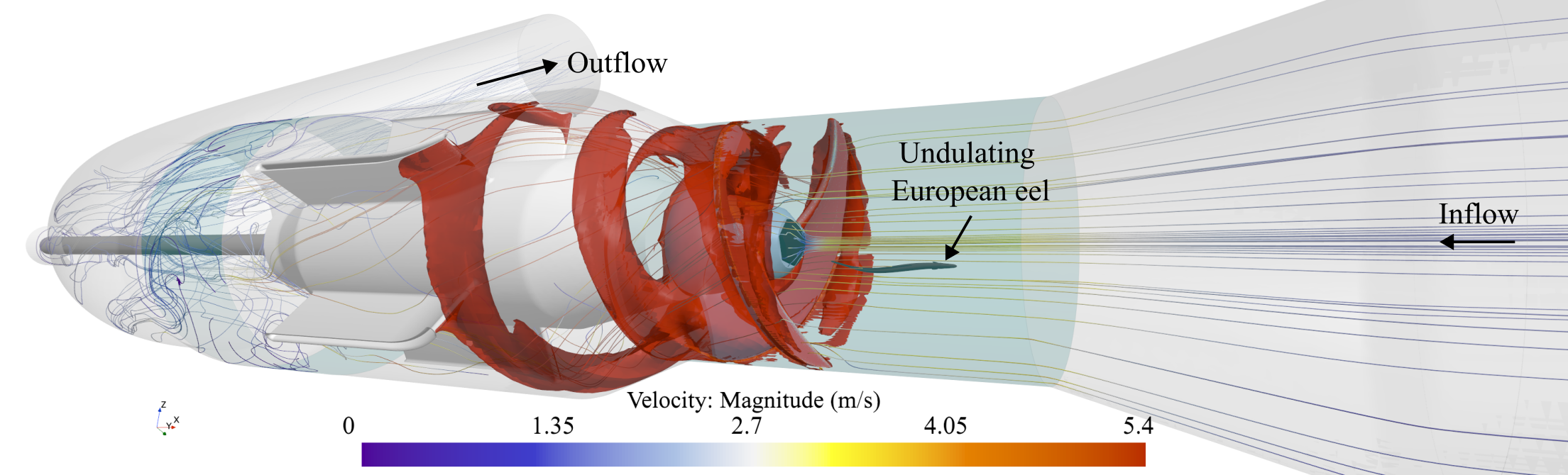 CFD Modelling of the Undulatory Swimming of a European Eel through an axial-flow pump
