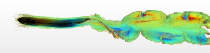 CFD of trailing vortices during fish fin oscillation