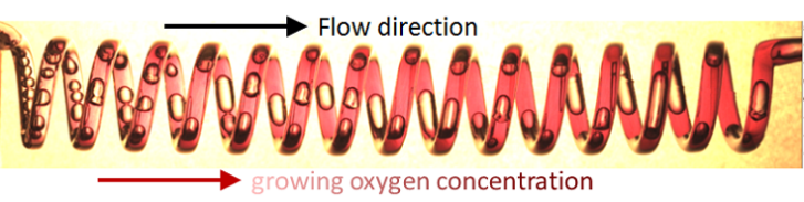 LIF measurement of oxygen mass transfer in a helix reactor