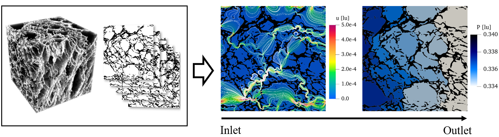 Lattice-Boltzmann-Simulations of fluid penetration in bread microstructures