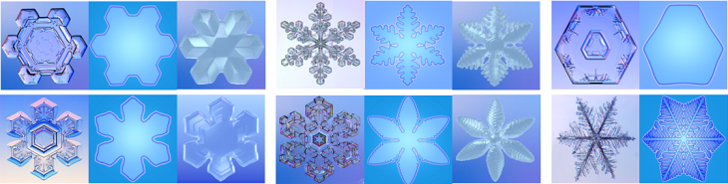 Simulations for snow crystals with LBM in 2D