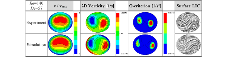 Tomo PIV compared to CFD in a helical coil
