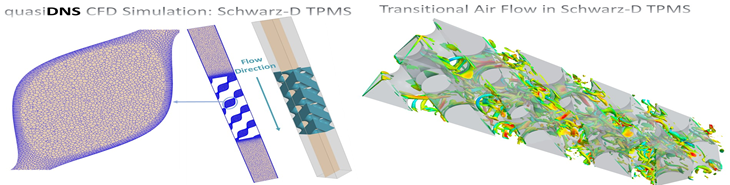 transitional flow in TPMS