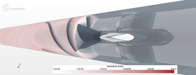 Medizinsche Strömungen 4