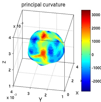 princcurv1